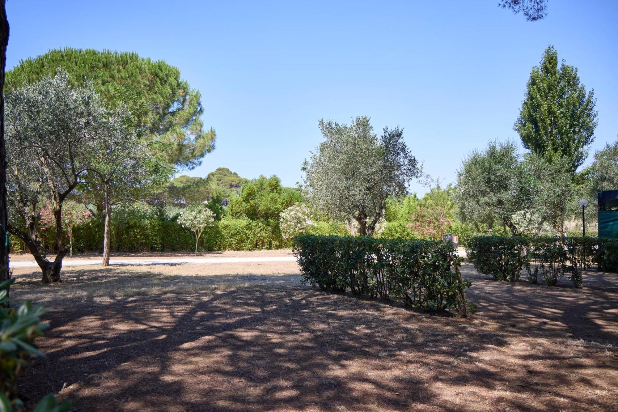 Costa D'Argento - Camping Village Club Capalbio Exteriör bild