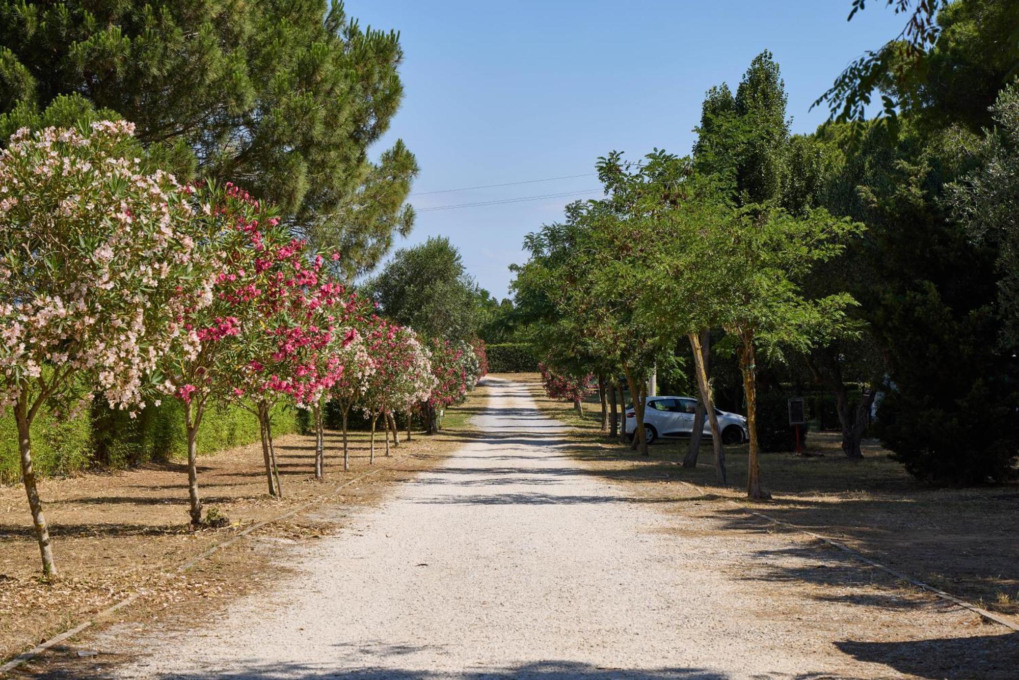 Costa D'Argento - Camping Village Club Capalbio Exteriör bild
