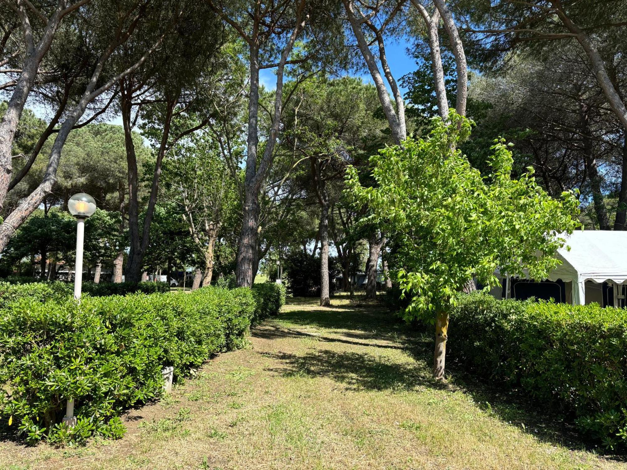Costa D'Argento - Camping Village Club Capalbio Exteriör bild